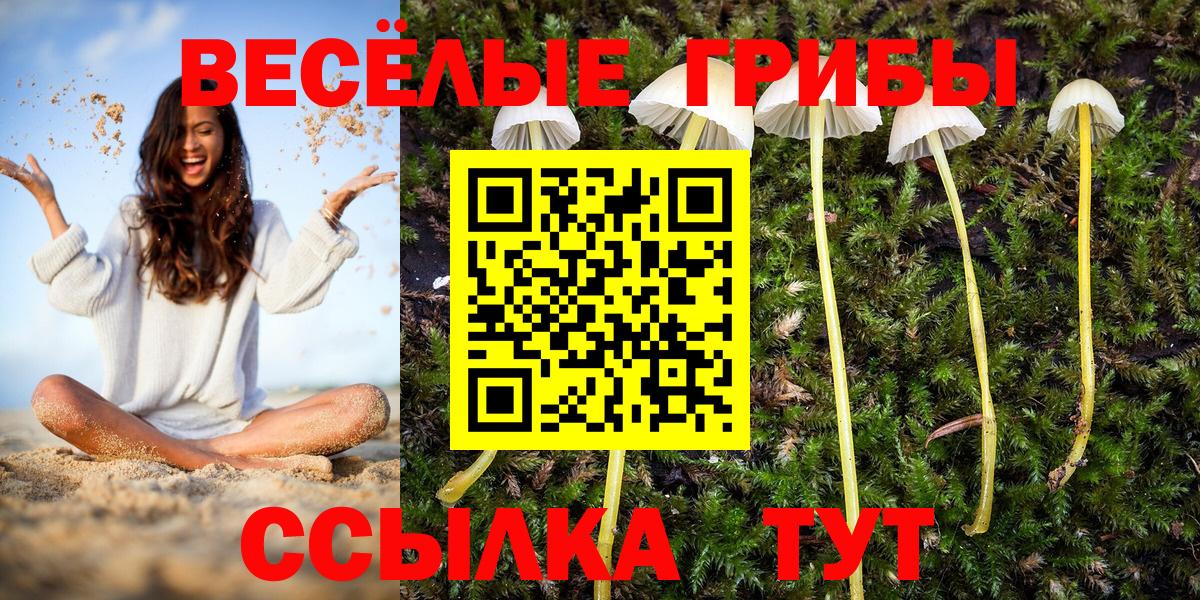 Галлюциногенные грибы Magic Shrooms Ялта