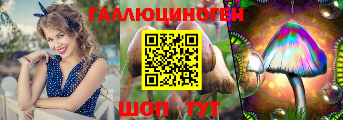 Ялта  Галлюциногенные грибы MAGIC MUSHROOMS  Вход с VPN  Псилоцибиновые грибы GOLDEN TEACHER 